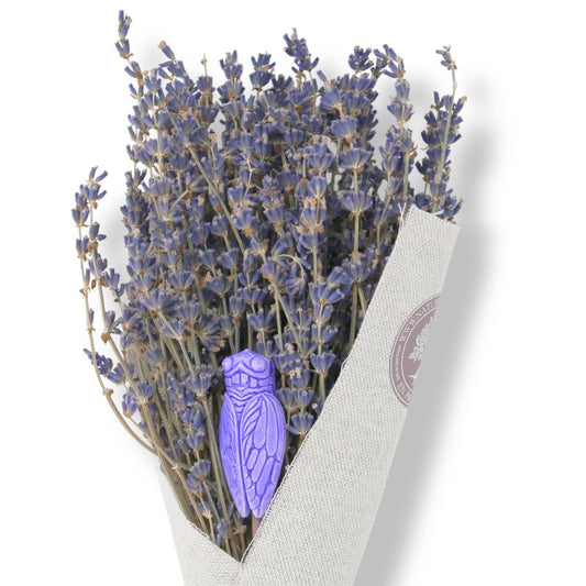 BOUQUET LAVANDE AVEC CIGALE PARFUMÉE