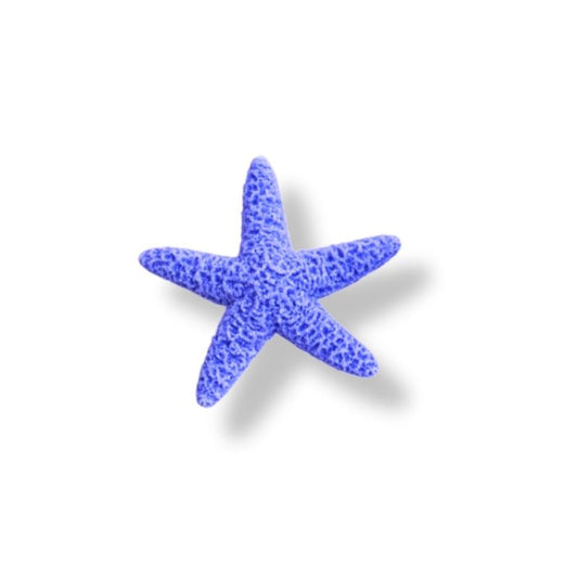 ÉTOILES DE MER