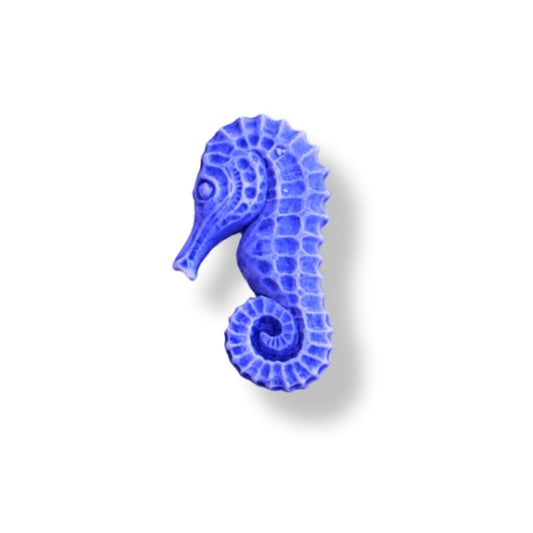 HIPPOCAMPES