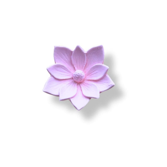 LOTUS