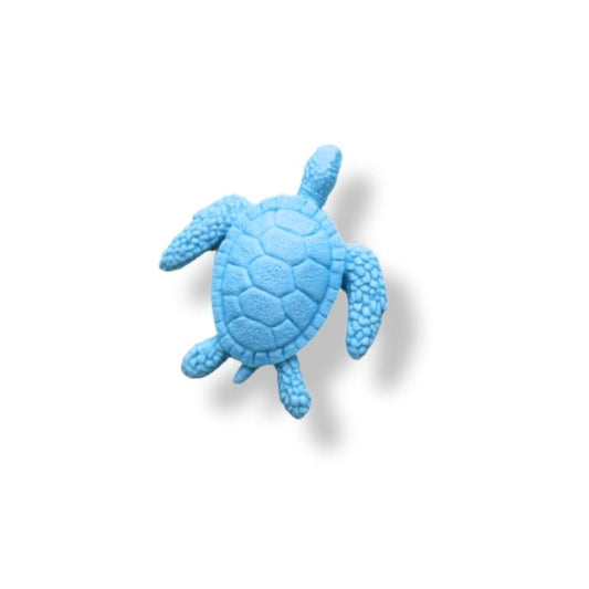 TORTUES DE MER